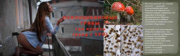 jwh Богородск