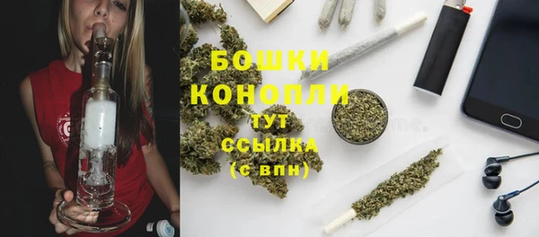 ешки Богданович