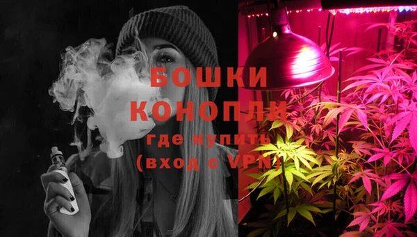 ПСИЛОЦИБИНОВЫЕ ГРИБЫ Богородицк