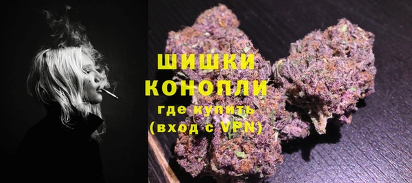 ешки Богданович