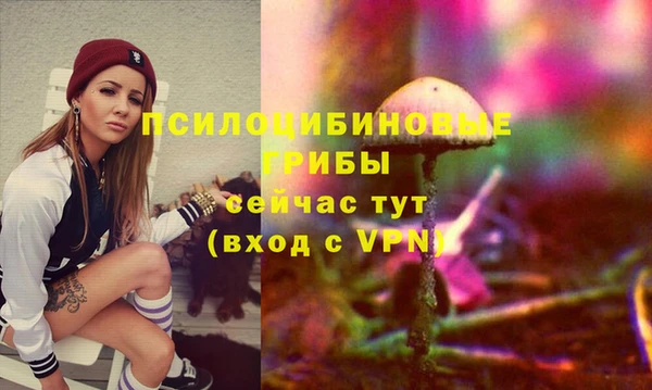 ПСИЛОЦИБИНОВЫЕ ГРИБЫ Богородицк