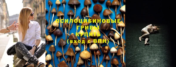 ПСИЛОЦИБИНОВЫЕ ГРИБЫ Богородицк