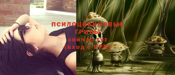ешки Богданович