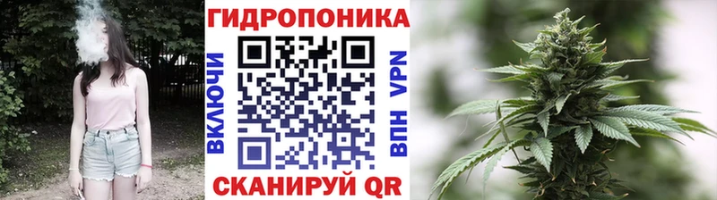 Бошки марихуана SATIVA & INDICA  Новочебоксарск 